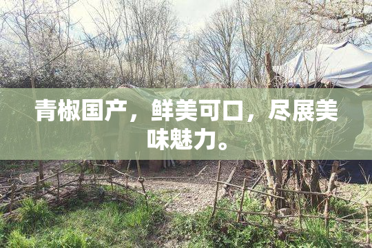 青椒国产，鲜美可口，尽展美味魅力。