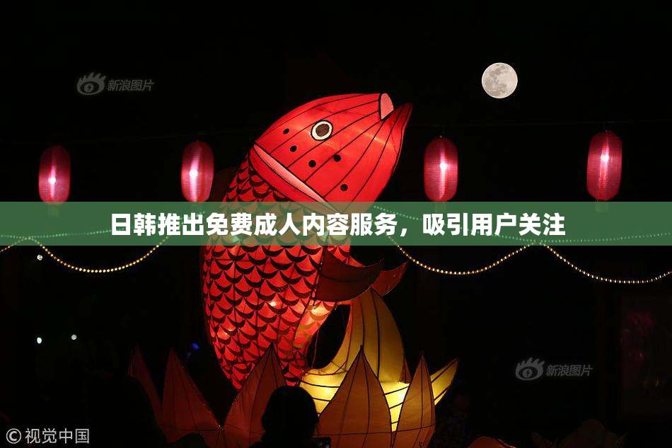 日韩推出免费成人内容服务，吸引用户关注