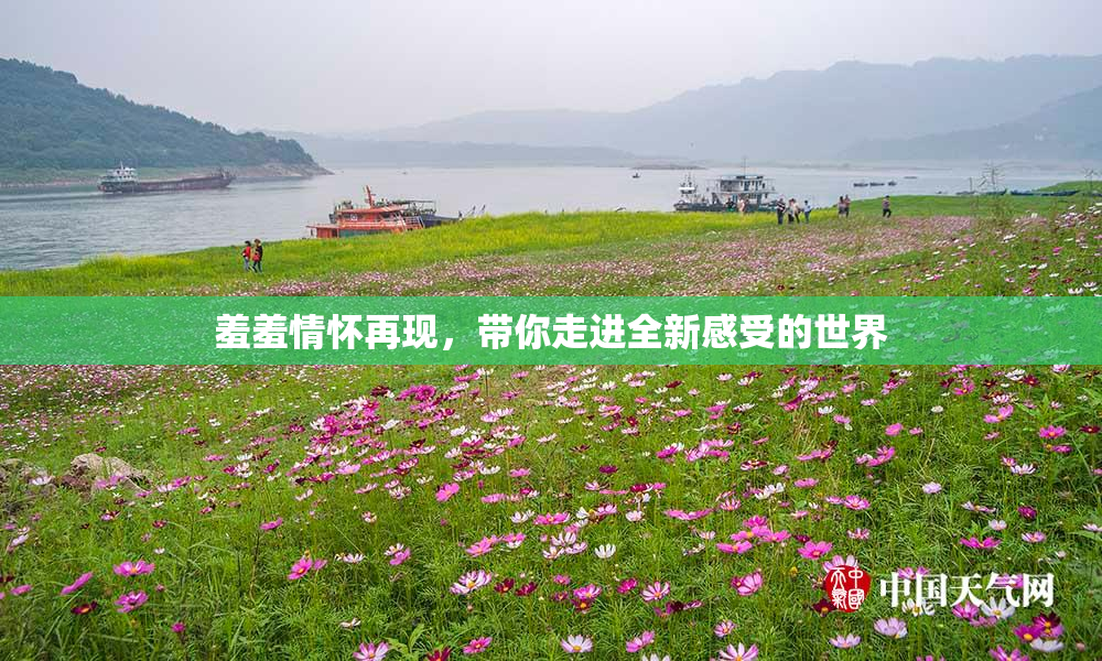 羞羞情怀再现，带你走进全新感受的世界