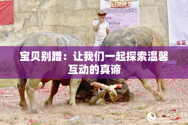 宝贝别蹭：让我们一起探索温馨互动的真谛