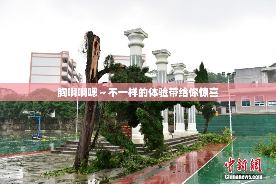 胸啊啊嗯～不一样的体验带给你惊喜