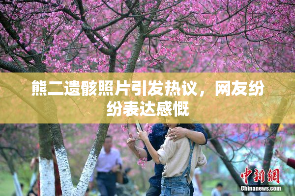 熊二遗骸照片引发热议，网友纷纷表达感慨