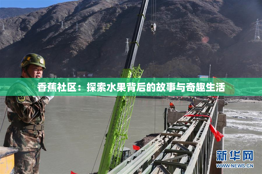 香蕉社区：探索水果背后的故事与奇趣生活