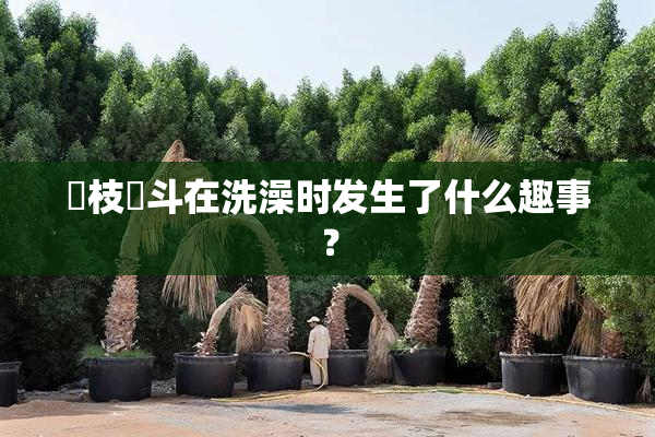 狛枝凪斗在洗澡时发生了什么趣事？