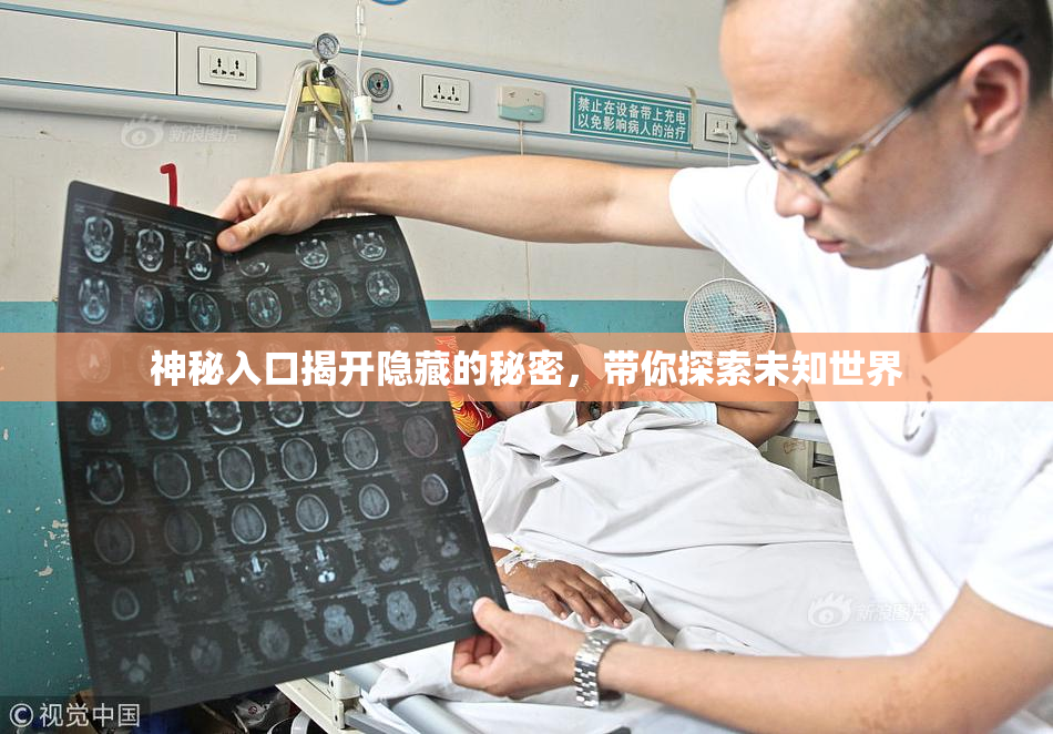 神秘入口揭开隐藏的秘密，带你探索未知世界