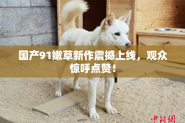 国产91嫩草新作震撼上线，观众惊呼点赞！