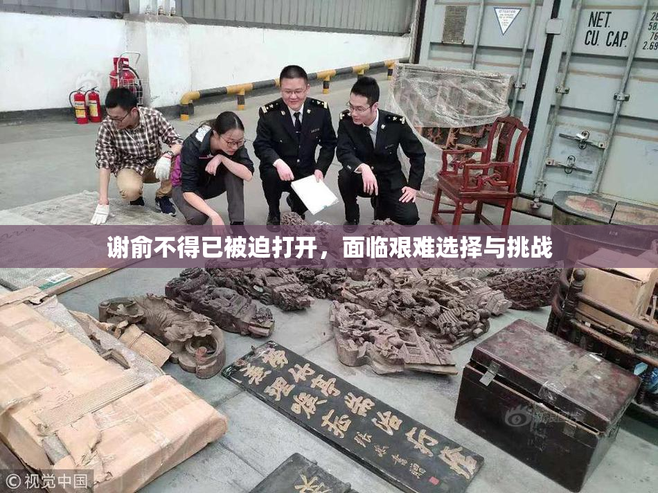 谢俞不得已被迫打开，面临艰难选择与挑战