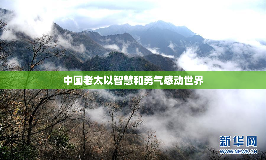 中国老太以智慧和勇气感动世界