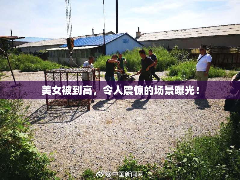 美女被到高，令人震惊的场景曝光！