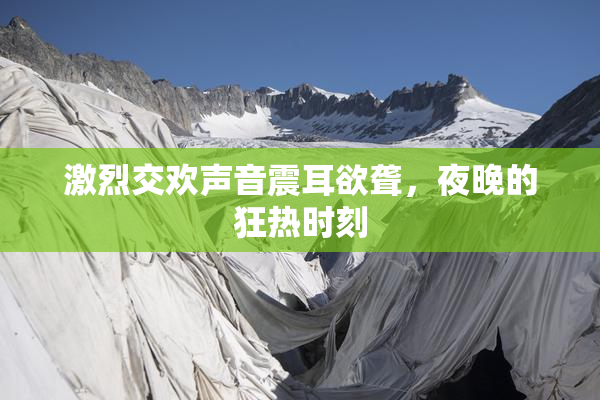 激烈交欢声音震耳欲聋，夜晚的狂热时刻