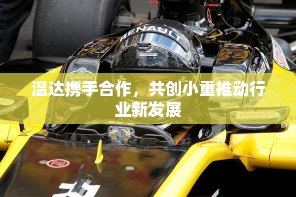 温达携手合作，共创小重推动行业新发展