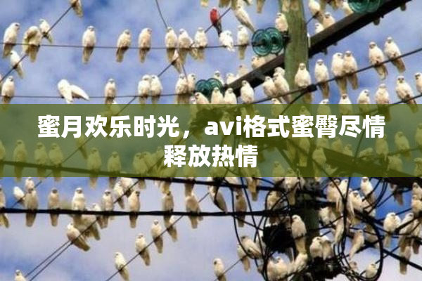 蜜月欢乐时光，avi格式蜜臀尽情释放热情