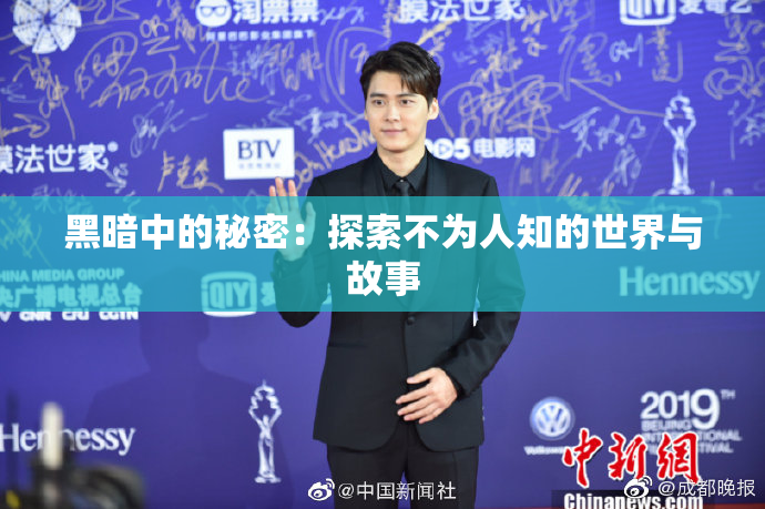 黑暗中的秘密：探索不为人知的世界与故事