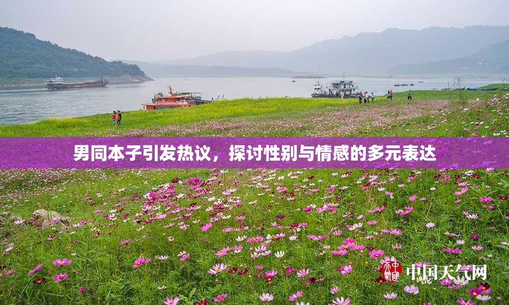 男同本子引发热议，探讨性别与情感的多元表达