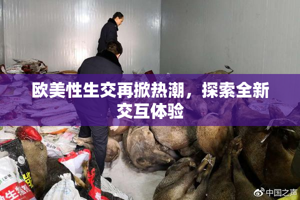 欧美性生交再掀热潮，探索全新交互体验