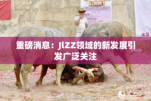 重磅消息：JlZZ领域的新发展引发广泛关注