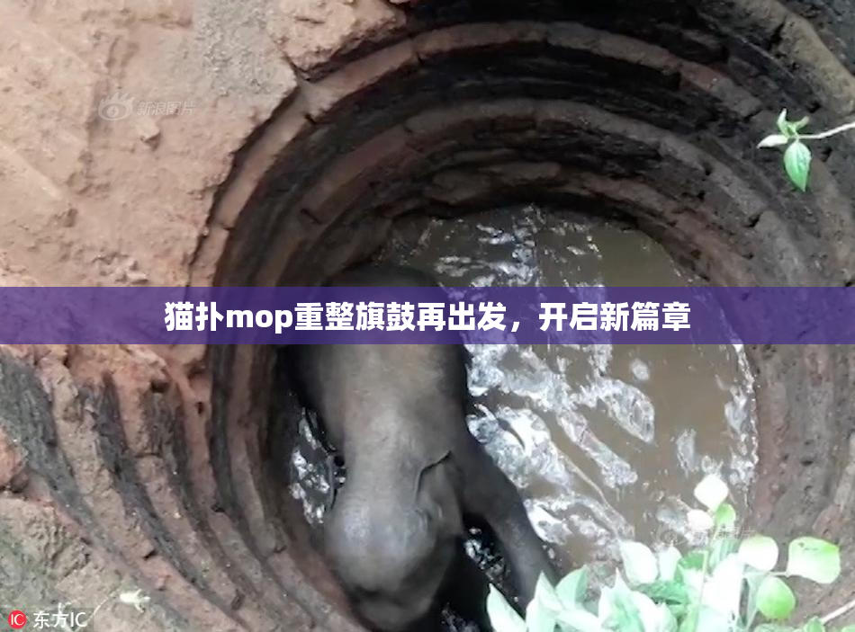 猫扑mop重整旗鼓再出发，开启新篇章