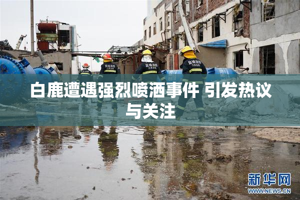 白鹿遭遇强烈喷洒事件 引发热议与关注