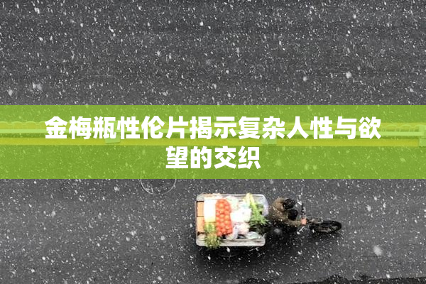 金梅瓶性伦片揭示复杂人性与欲望的交织