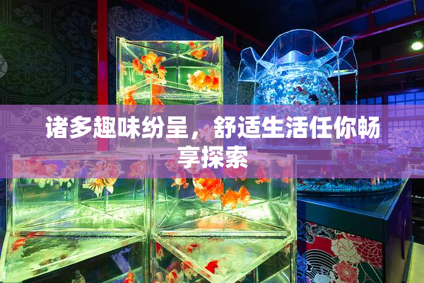 诸多趣味纷呈，舒适生活任你畅享探索