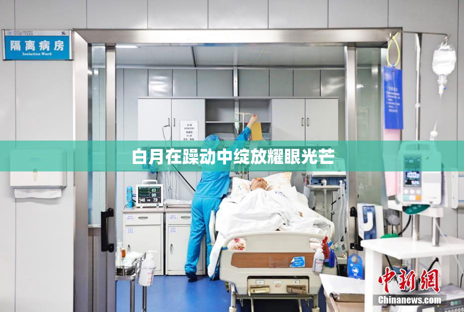 白月在躁动中绽放耀眼光芒