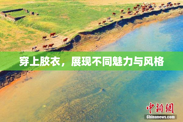 穿上胶衣，展现不同魅力与风格
