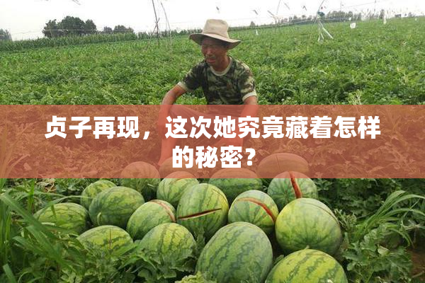 贞子再现，这次她究竟藏着怎样的秘密？