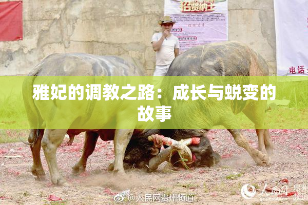 雅妃的调教之路：成长与蜕变的故事