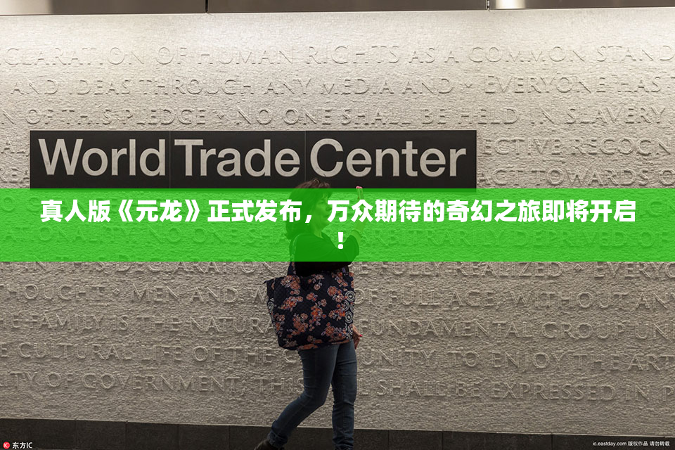 真人版《元龙》正式发布，万众期待的奇幻之旅即将开启！