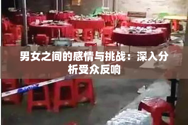 男女之间的感情与挑战：深入分析受众反响