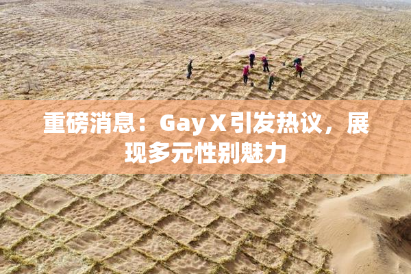 重磅消息：GayⅩ引发热议，展现多元性别魅力