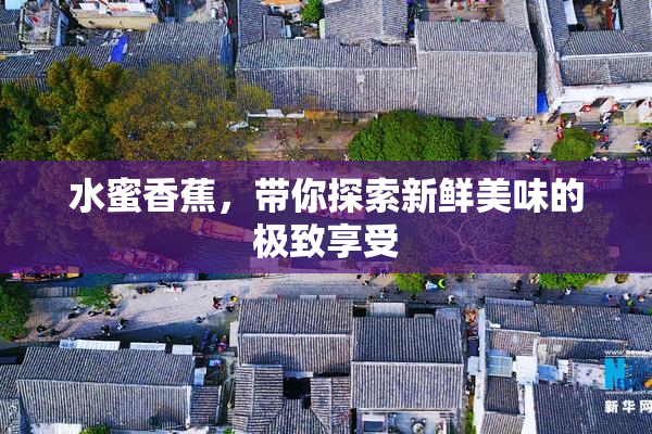水蜜香蕉，带你探索新鲜美味的极致享受