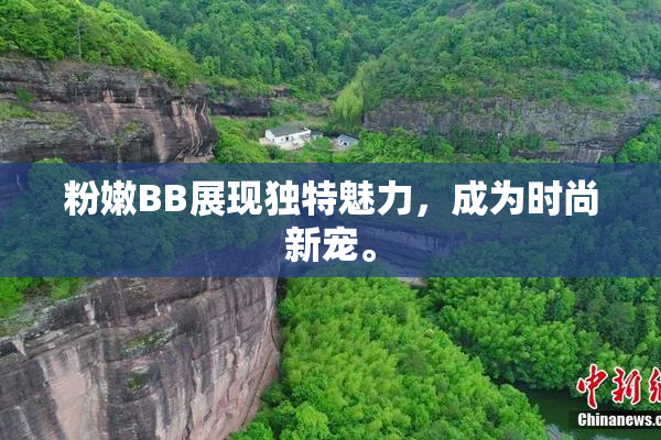 粉嫩BB展现独特魅力，成为时尚新宠。