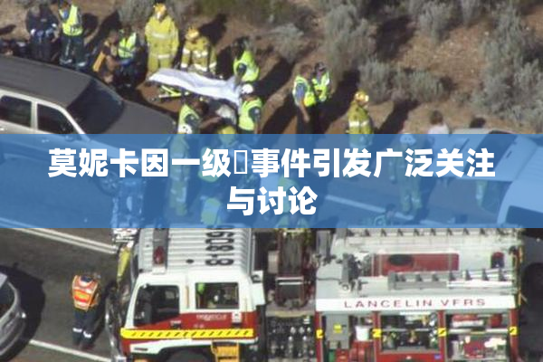 莫妮卡因一级婬事件引发广泛关注与讨论