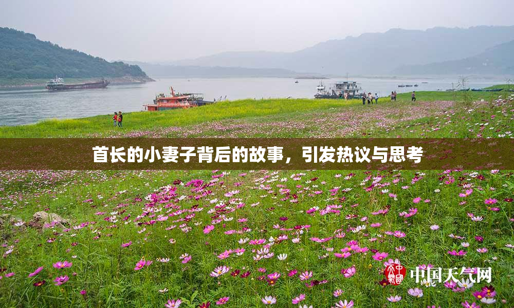 首长的小妻子背后的故事，引发热议与思考