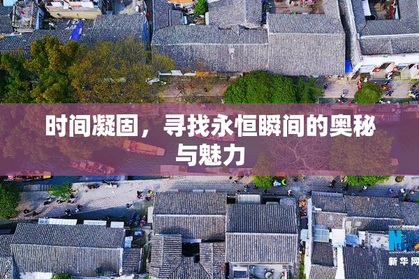 时间凝固，寻找永恒瞬间的奥秘与魅力