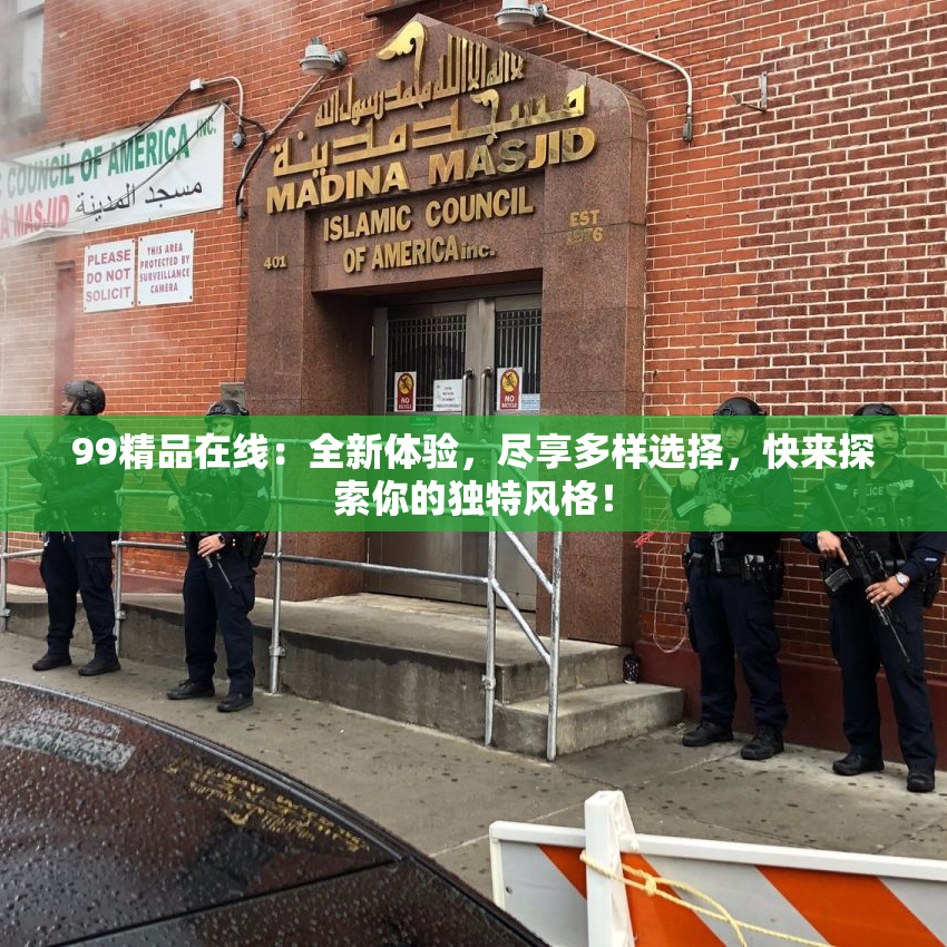 99精品在线：全新体验，尽享多样选择，快来探索你的独特风格！
