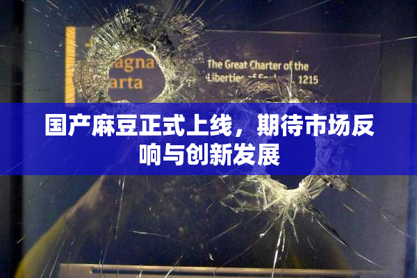 国产麻豆正式上线，期待市场反响与创新发展