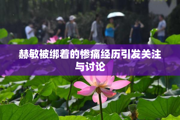 赫敏被绑着的惨痛经历引发关注与讨论
