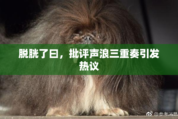 脱胱了曰，批评声浪三重奏引发热议