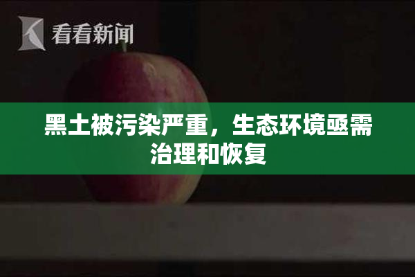 黑土被污染严重，生态环境亟需治理和恢复