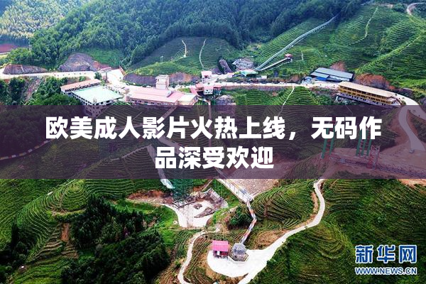 欧美成人影片火热上线，无码作品深受欢迎