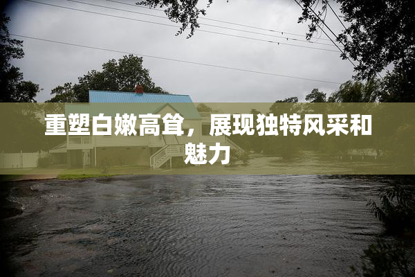 重塑白嫩高耸，展现独特风采和魅力