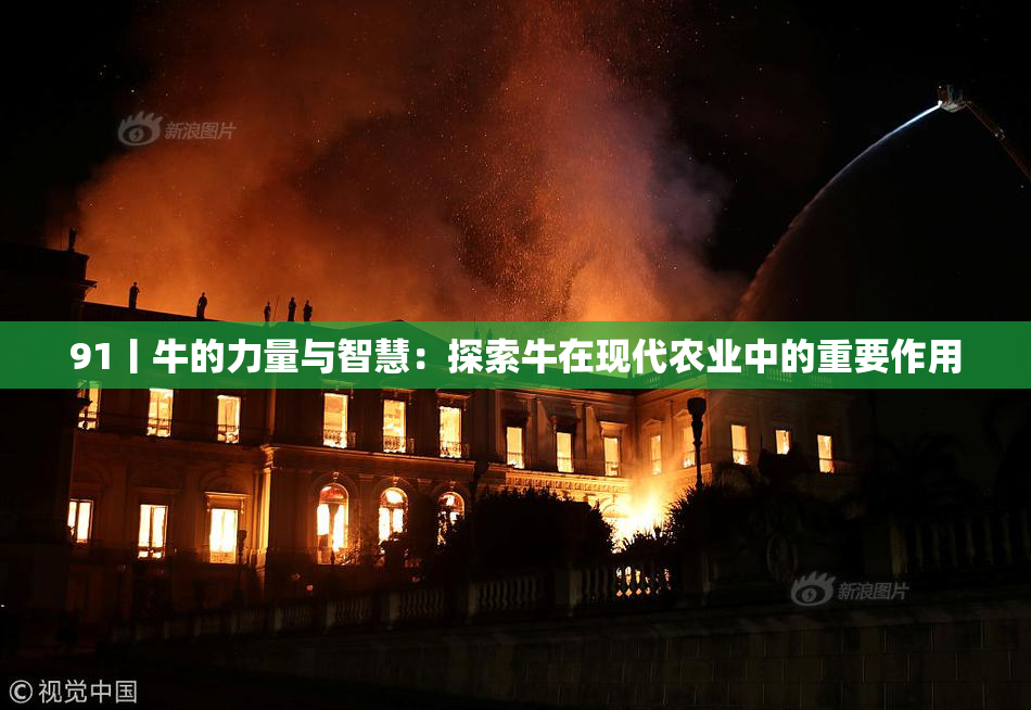 91丨牛的力量与智慧：探索牛在现代农业中的重要作用
