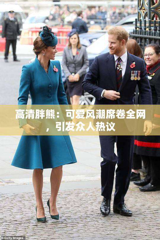 高清胖熊：可爱风潮席卷全网，引发众人热议