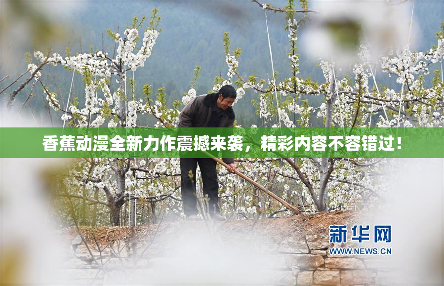 香蕉动漫全新力作震撼来袭，精彩内容不容错过！