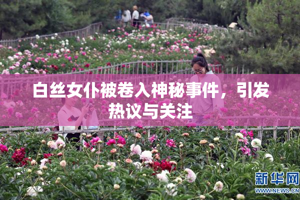 白丝女仆被卷入神秘事件，引发热议与关注