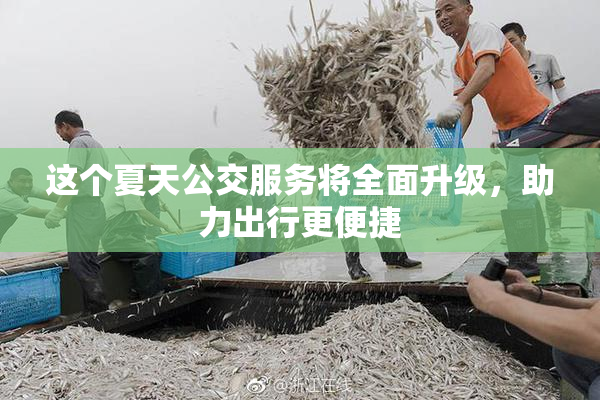 这个夏天公交服务将全面升级，助力出行更便捷