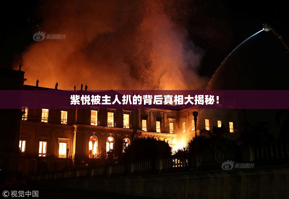 紫悦被主人扒的背后真相大揭秘！