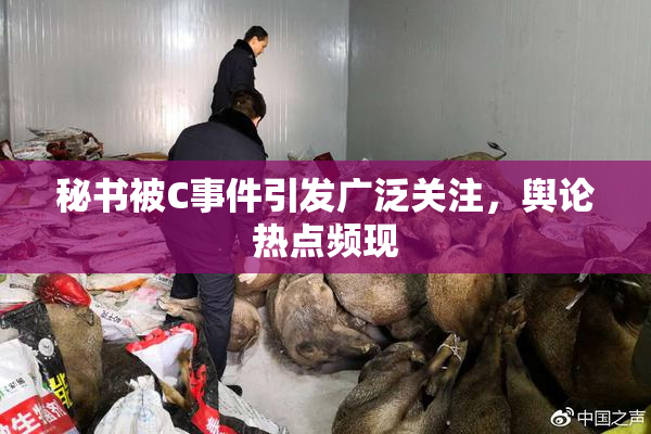 秘书被C事件引发广泛关注，舆论热点频现